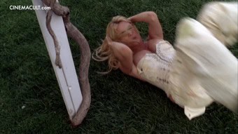 Clip Preview