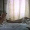 Dimenticare Venezia nude scenes preview Dimenticare Venezia nude scenes
