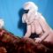 Librianna, Bitch of the Black Sea nude scenes preview Librianna, Bitch of the Black Sea nude scenes