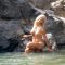Quando i dinosauri si mordevano la coda nude scenes preview Quando i dinosauri si mordevano la coda nude scenes