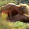 Una donna chiamata Apache nude scenes preview Una donna chiamata Apache nude scenes