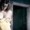 1 nude scenes preview 1 nude scenes