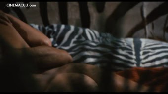 Clip Preview