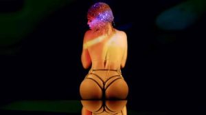 beyonce Perfect Ass Partition