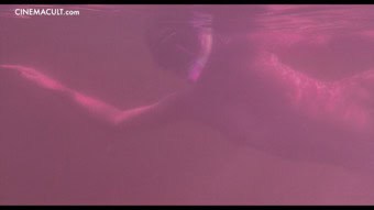 Clip Preview