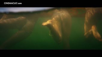 Clip Preview